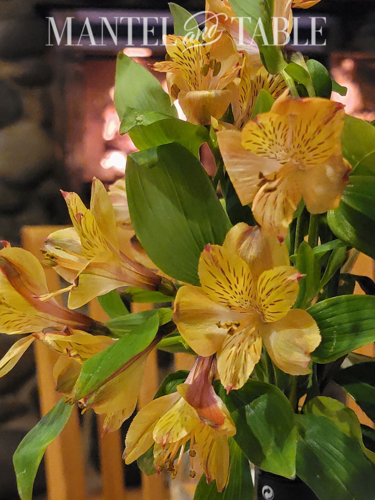 Super closeup of yellow flowers, with fireplace in the background
