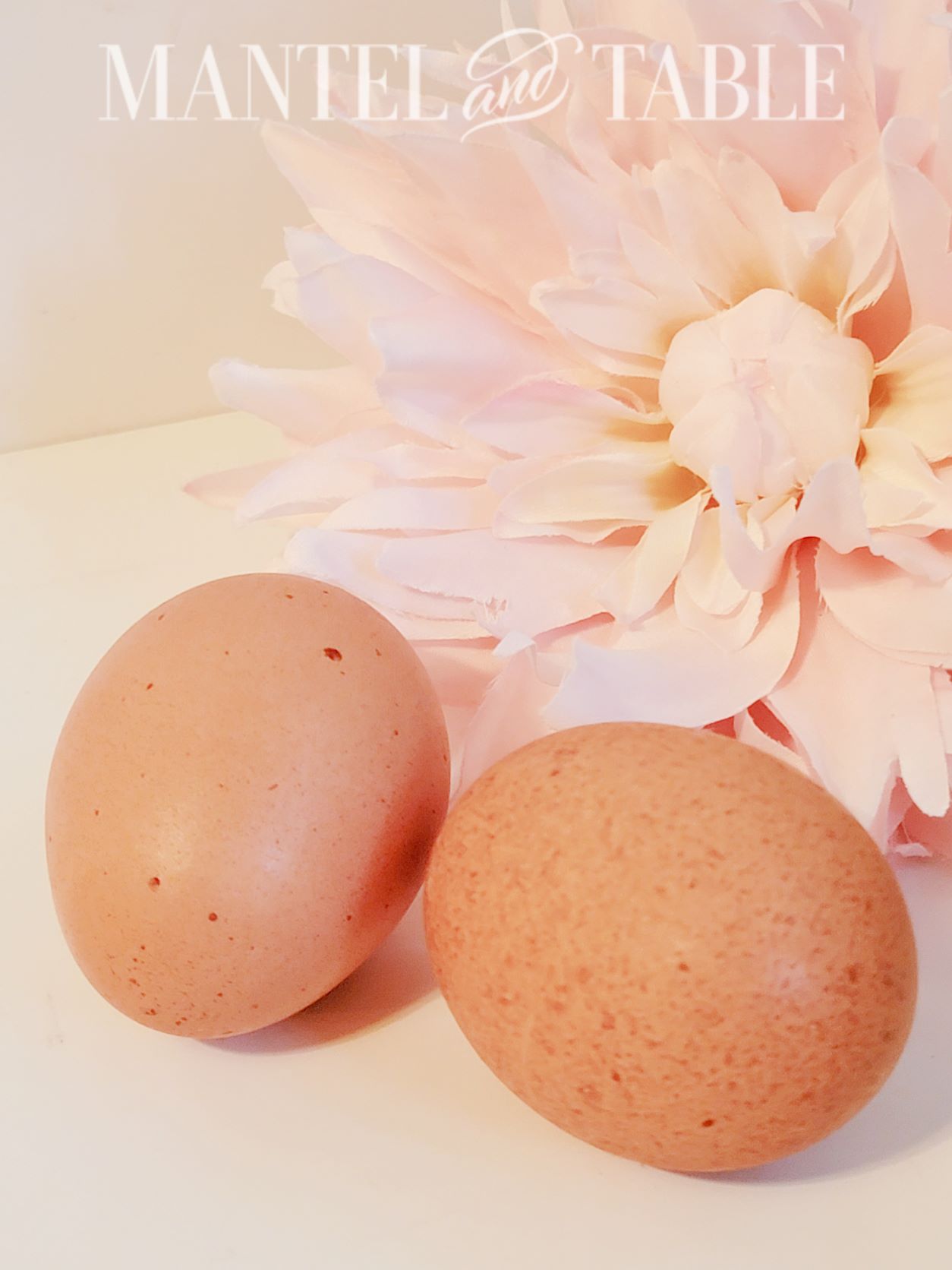 Two brown eggs with a pink flower