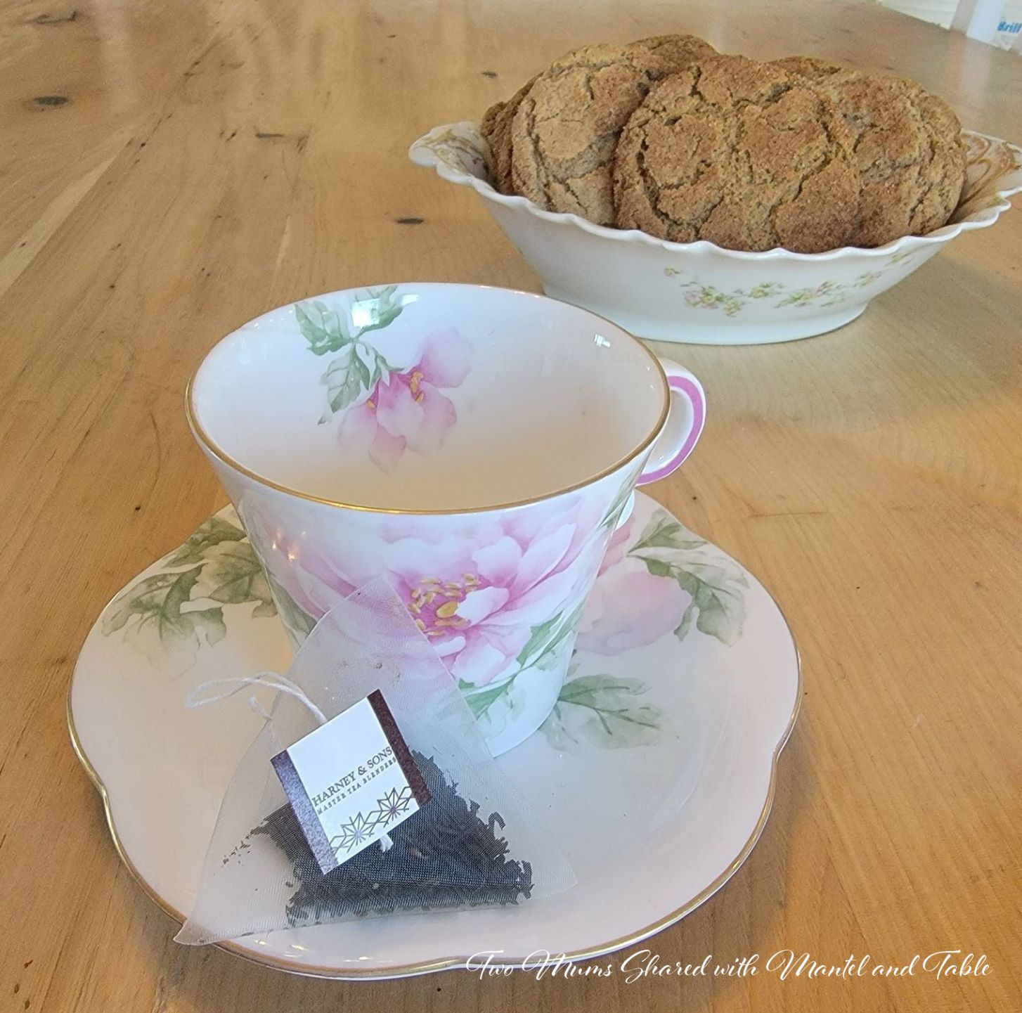 The Traveling Teacup with teabag and bowl of cookies