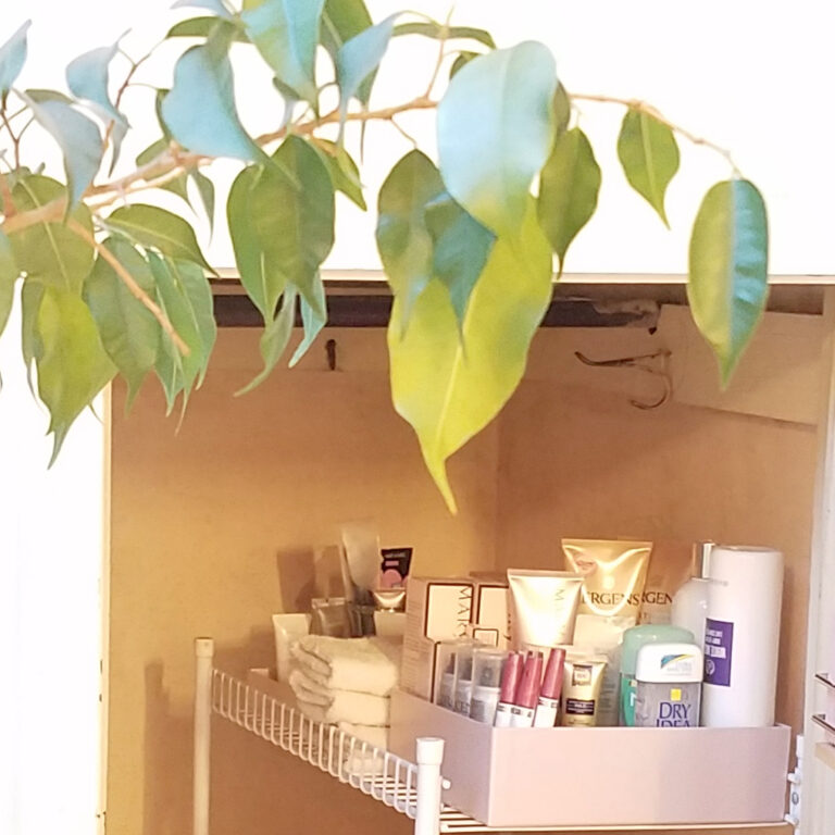 I Organized My Bathroom Closet and found something really amazing