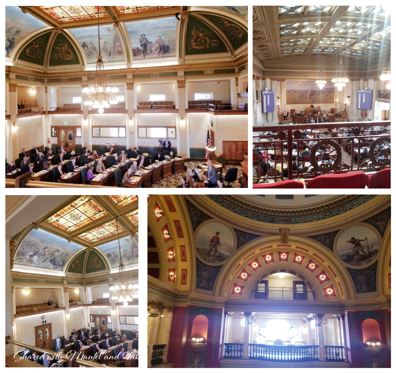 Montage of Montana senate and house chambers