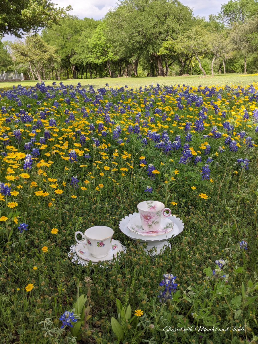 Two rose patterened teacup in field of blue and yellow flowers