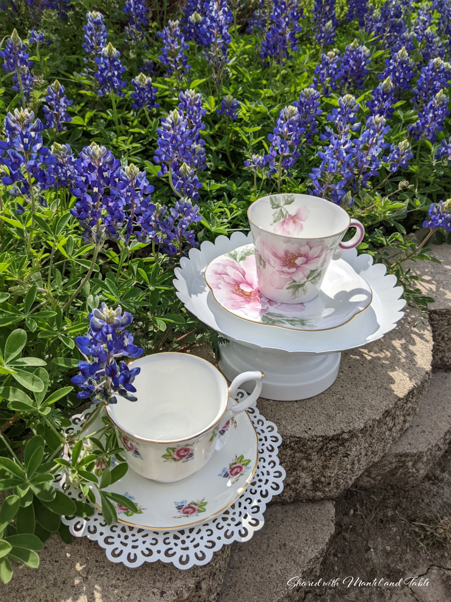 Teacups in saucers on garden wall