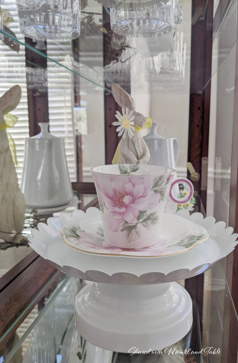 Teacup in the curio cabinet