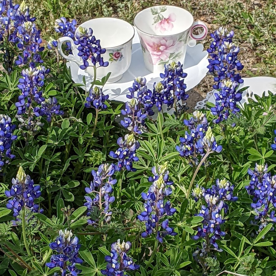 Two rose patterned teacups in a field of blue flowers
