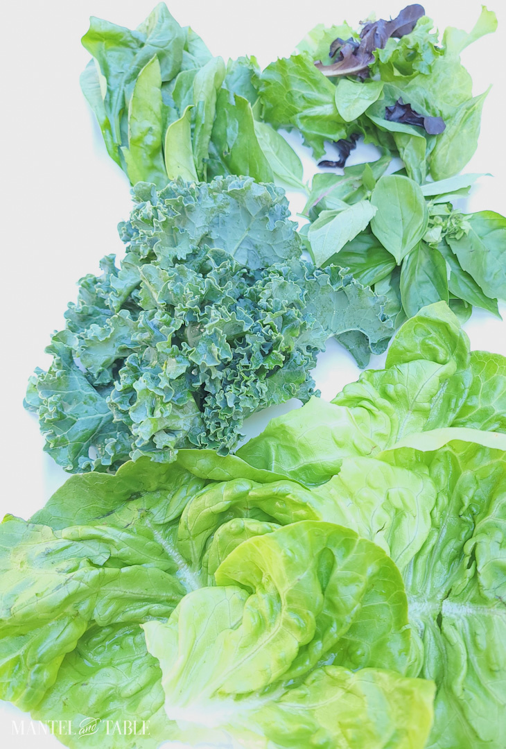 Salad greens