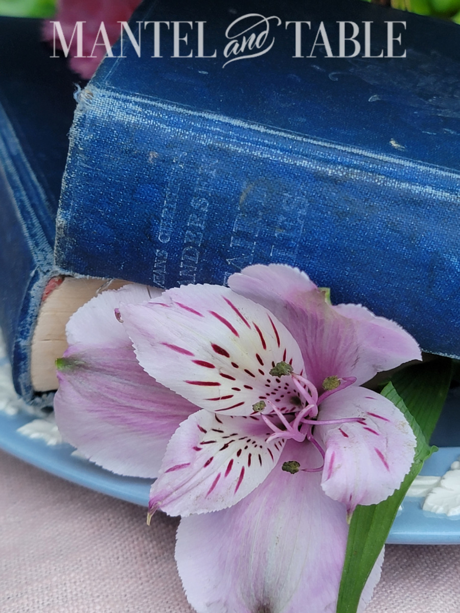 Closeup of blue Hans Christian Andersen Fairy Tales book with purple flower