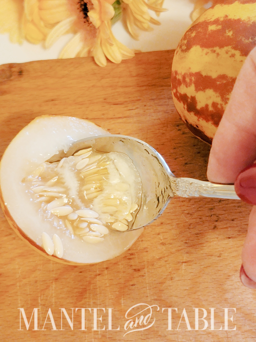 Scooping out melon seeds for tiger melon cocktails