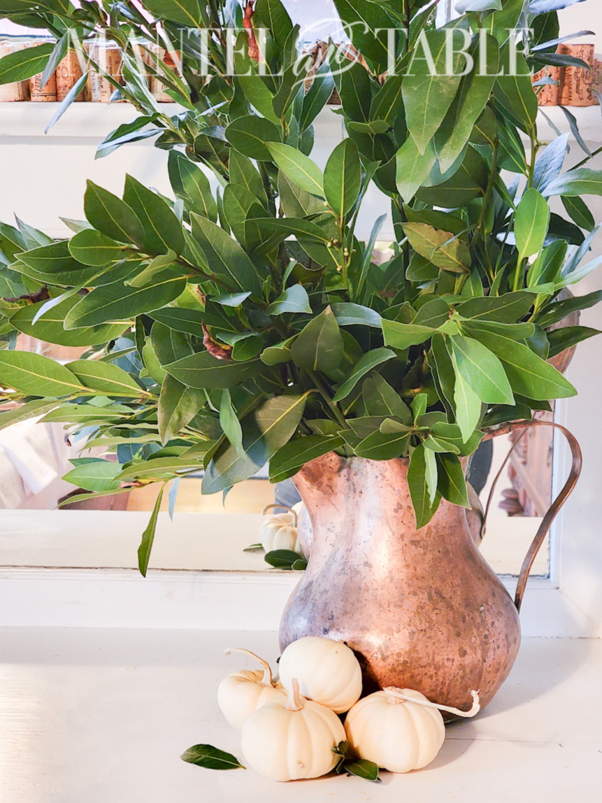 Bay tree branches in copper pitcher, baby boo pumpkins