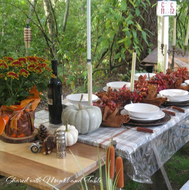 Hosting Thanksgiving outside? Here are 5 fun and easy tips