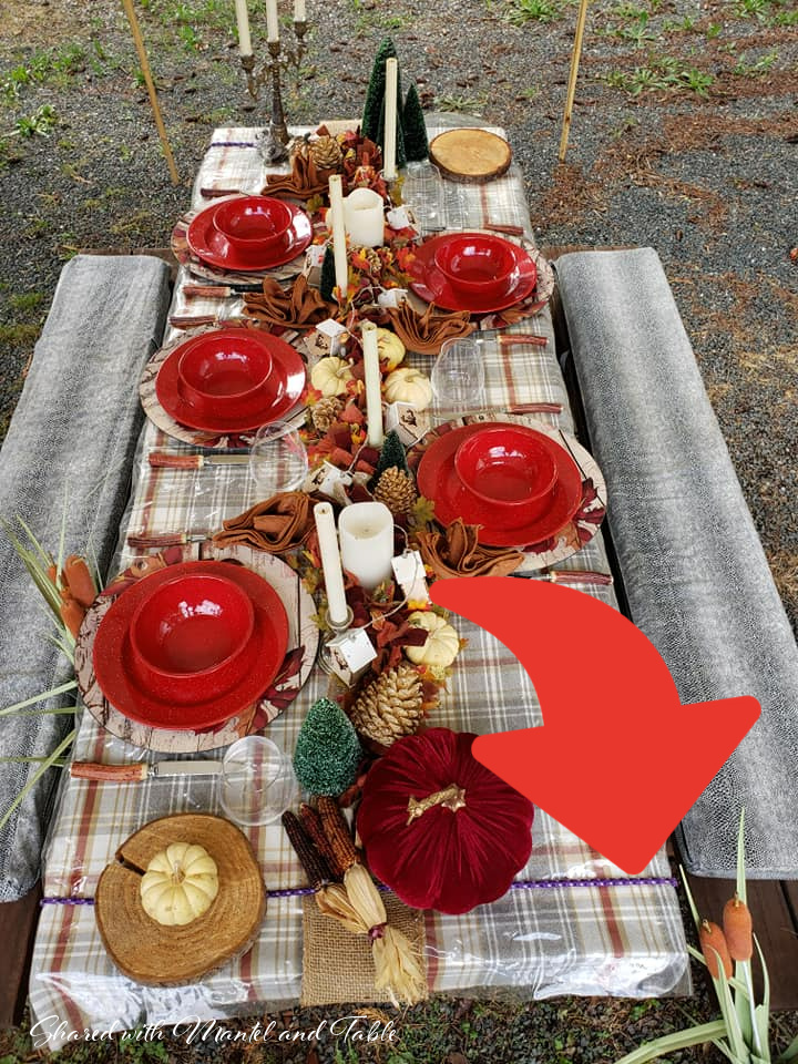 Formally set picnic table with bungee cord securing the tablecloth