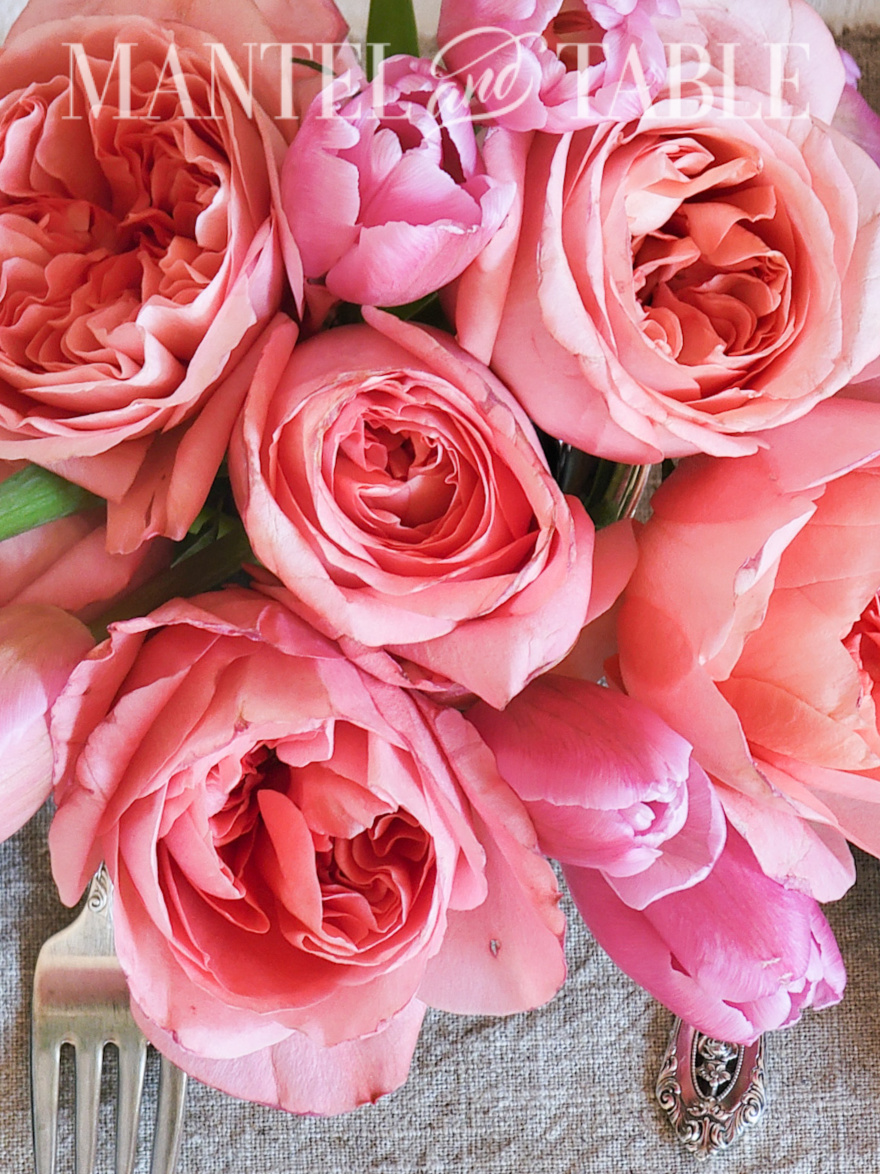 Closeup of pink garden roses and tulips