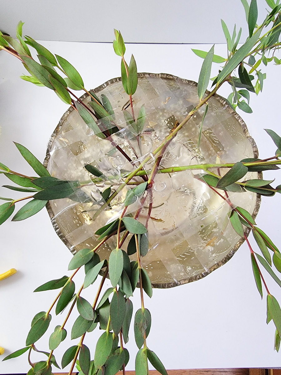 Top view of greenery in tape grid