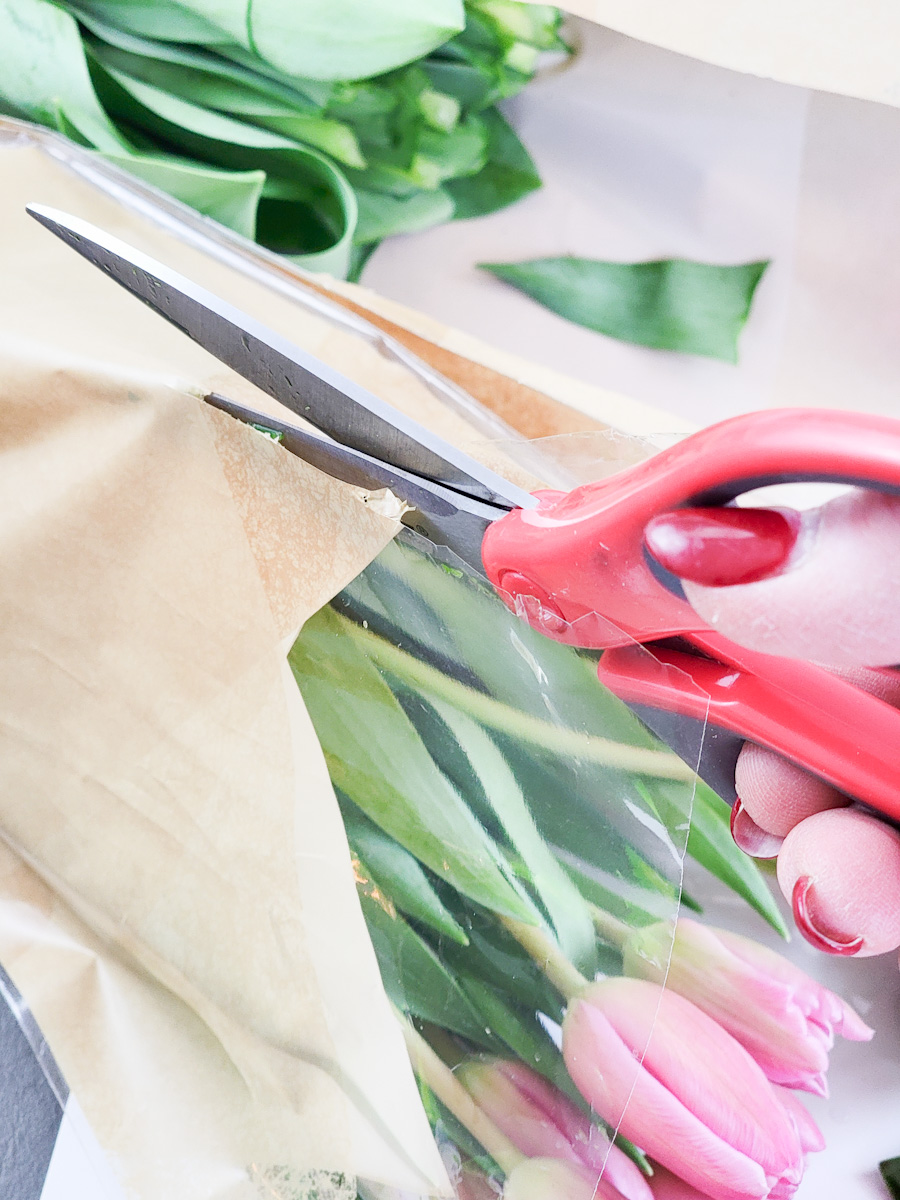 Hand holding scissors cutting the wrapping on roses
