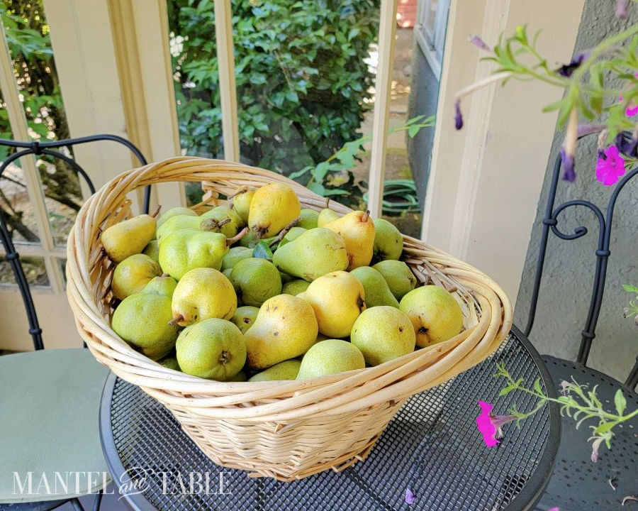 Wicker basket of pears on an outdoor cafe table