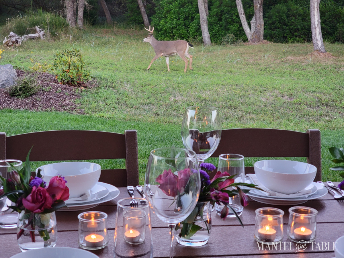 Sunset tablescape with a wild deer in the backyard
